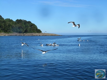 Fotos da pesca esportiva em Chaiten no Chile